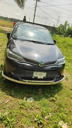 Toyota Corolla Fielder 2017 Black