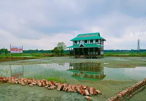 রেডি প্লট