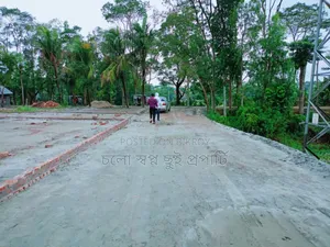 রেডি প্লট