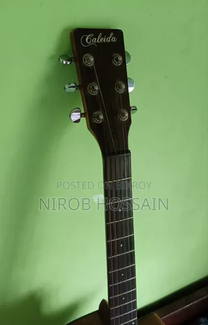 Caleida Acoustic Guitar
