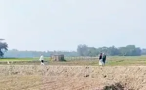 1 Kani land for urgent sale next to Subarnachar Boga Bazar