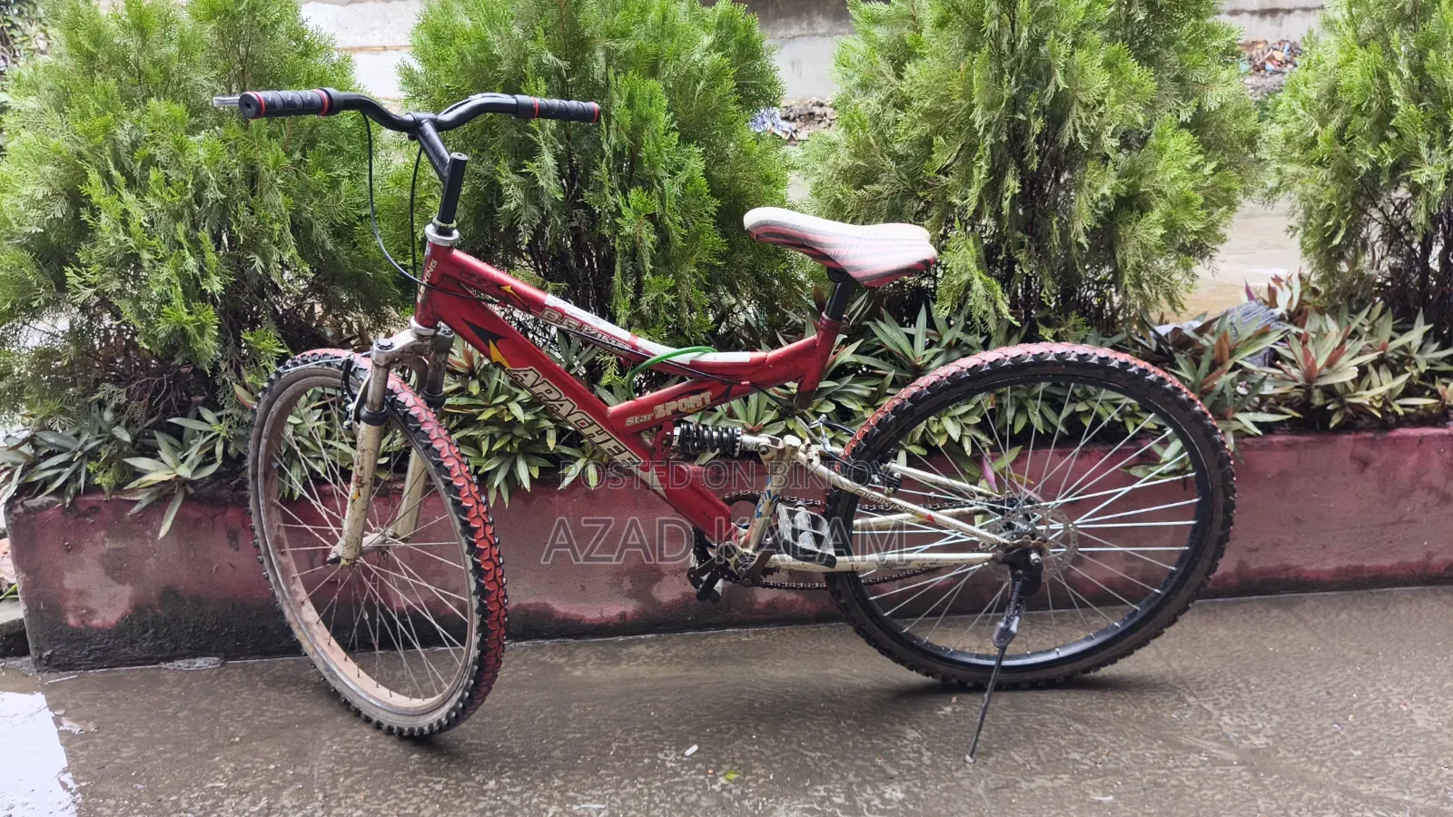 Bicycle for sale