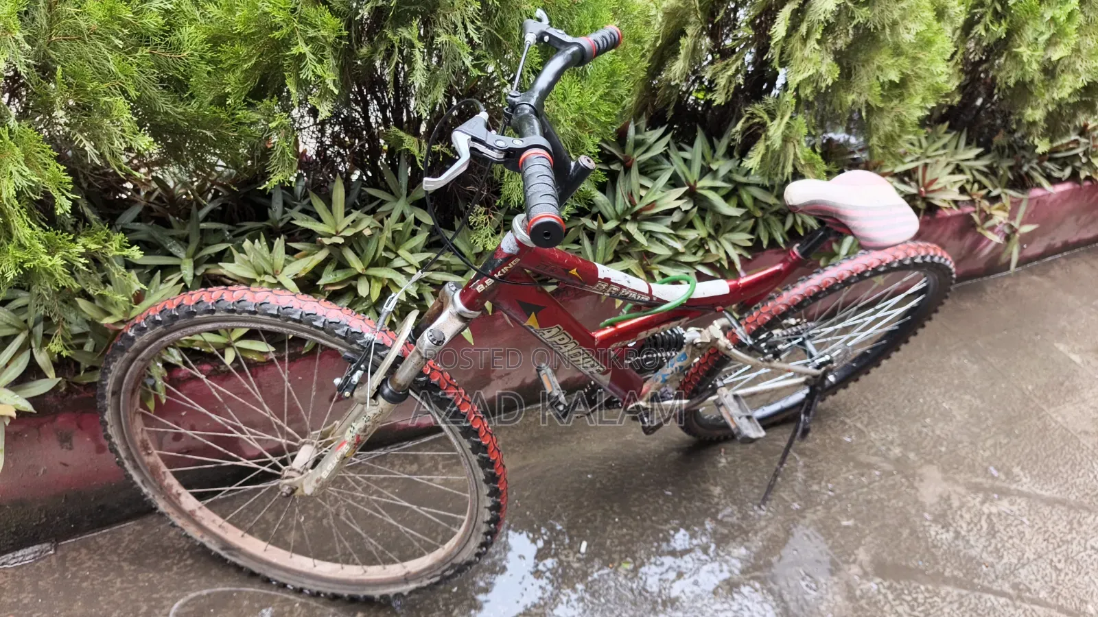Bicycle for sale