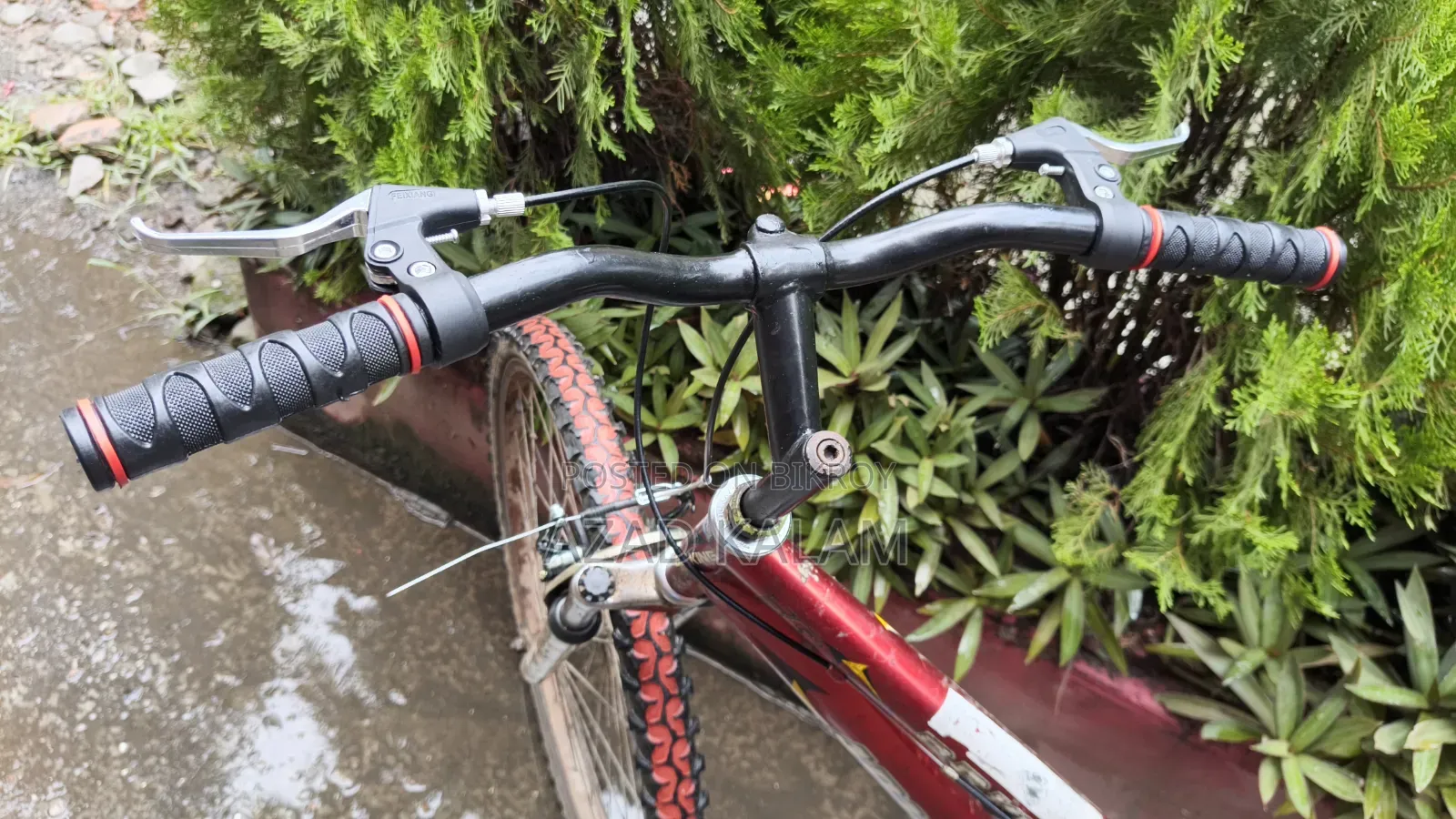 Bicycle for sale