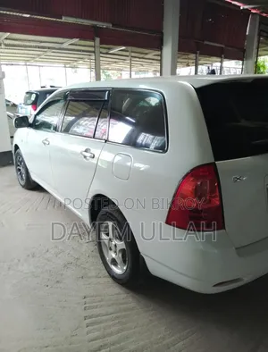 Toyota Corolla Fielder 2005 Pearl