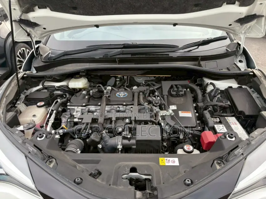 Toyota C-HR 2021 Pearl