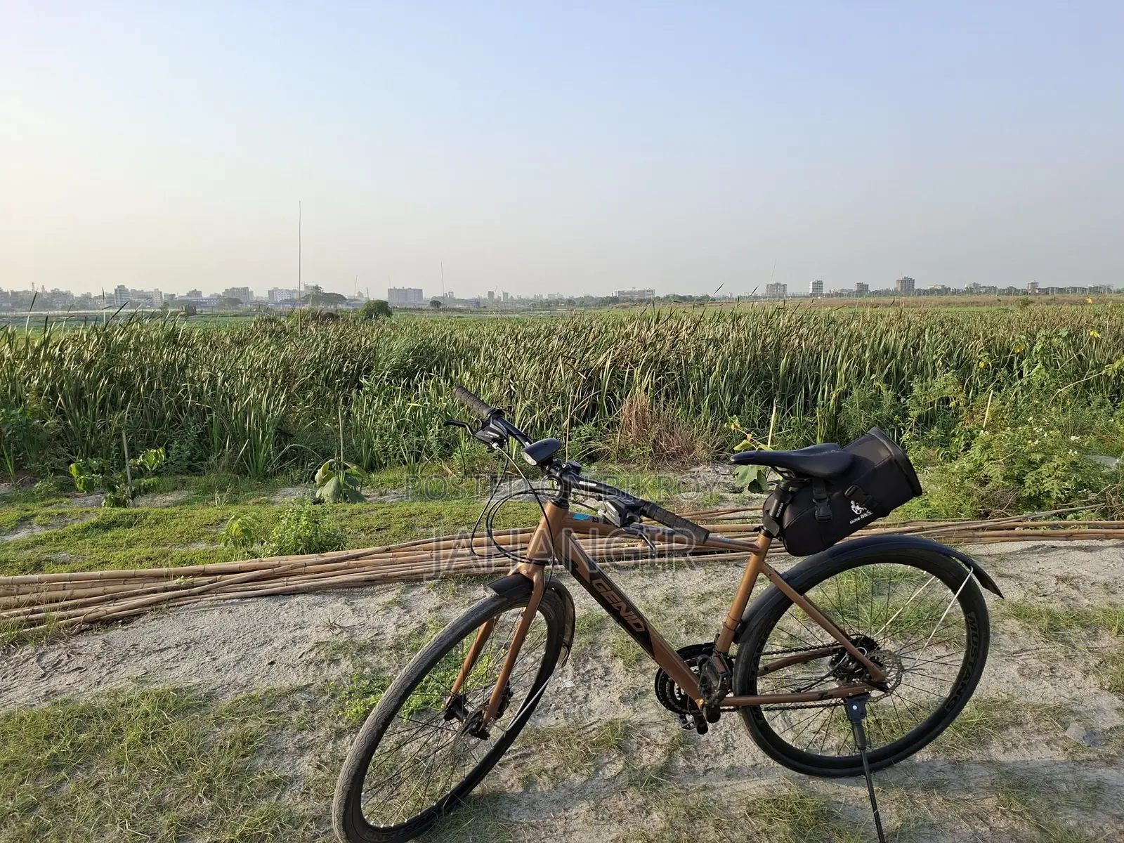 Mustung Genio Sweep 2 Shimano Version
