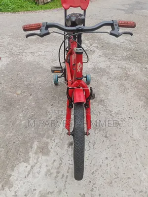 20-inch Bicycle