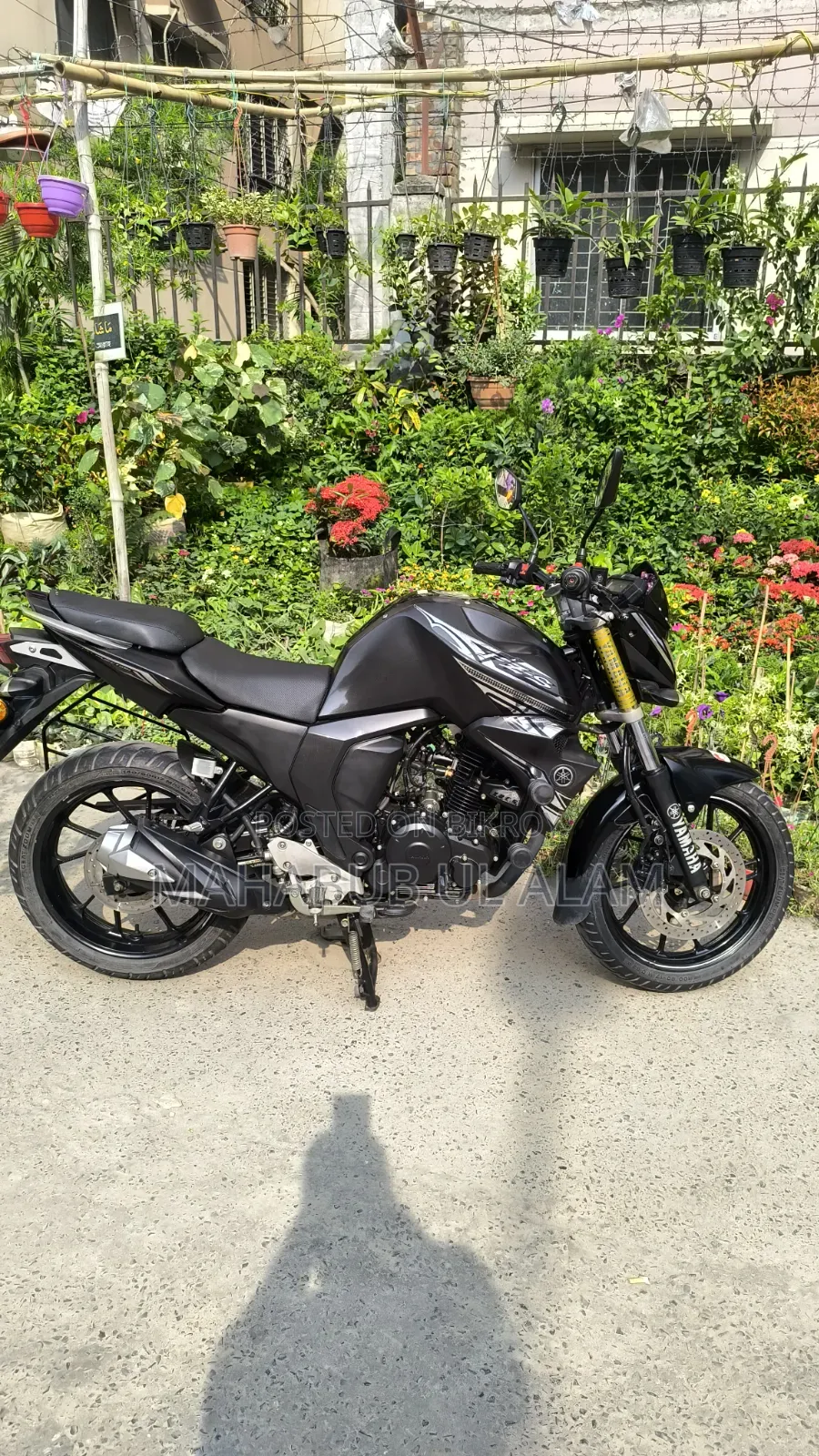 Yamaha FZ6 2024 Black