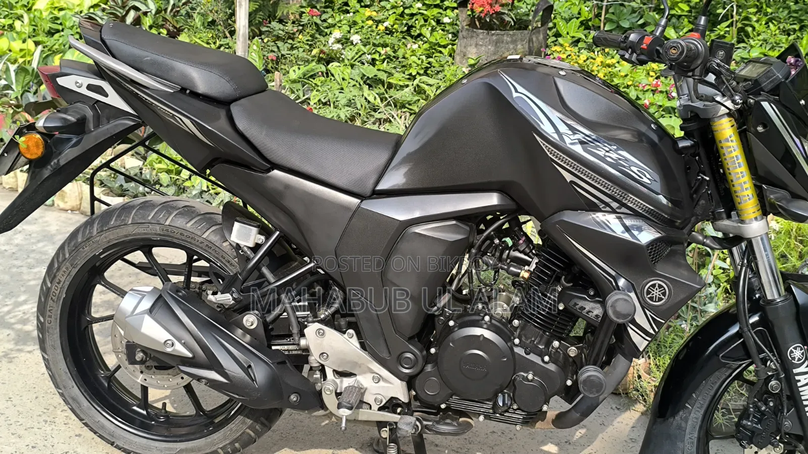 Yamaha FZ6 2024 Black