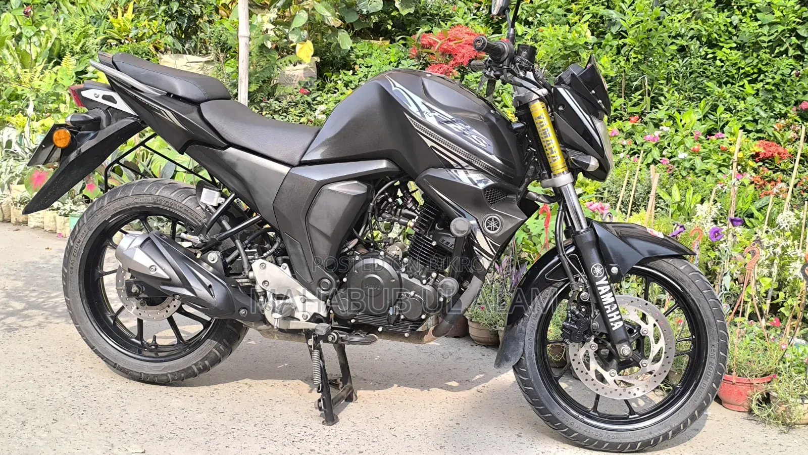 Yamaha FZ6 2024 Black