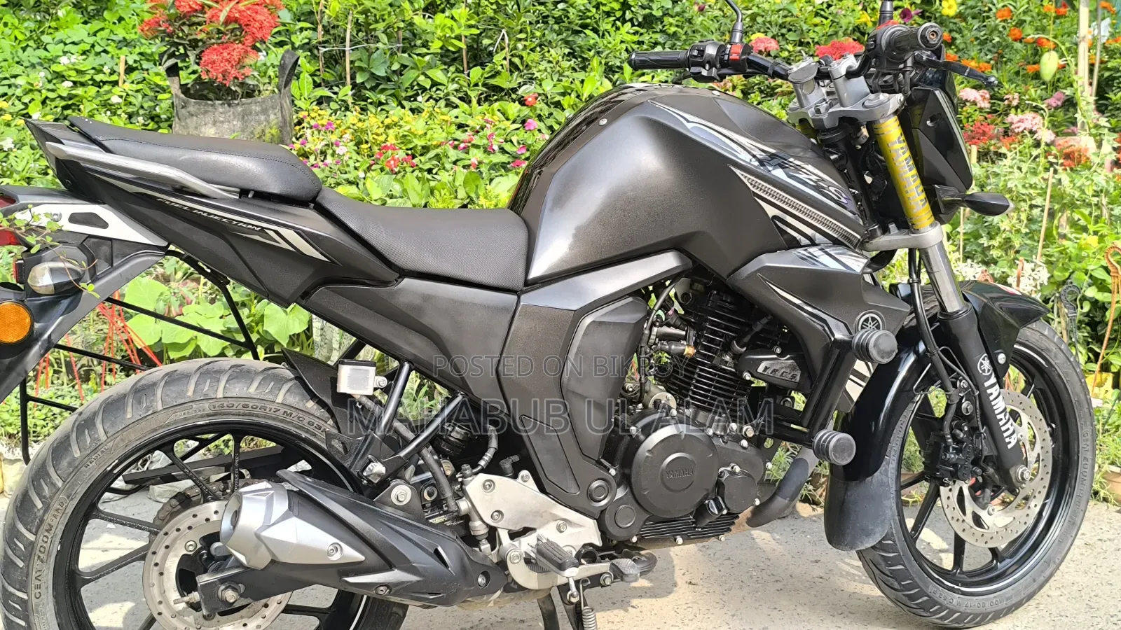 Yamaha FZ6 2024 Black