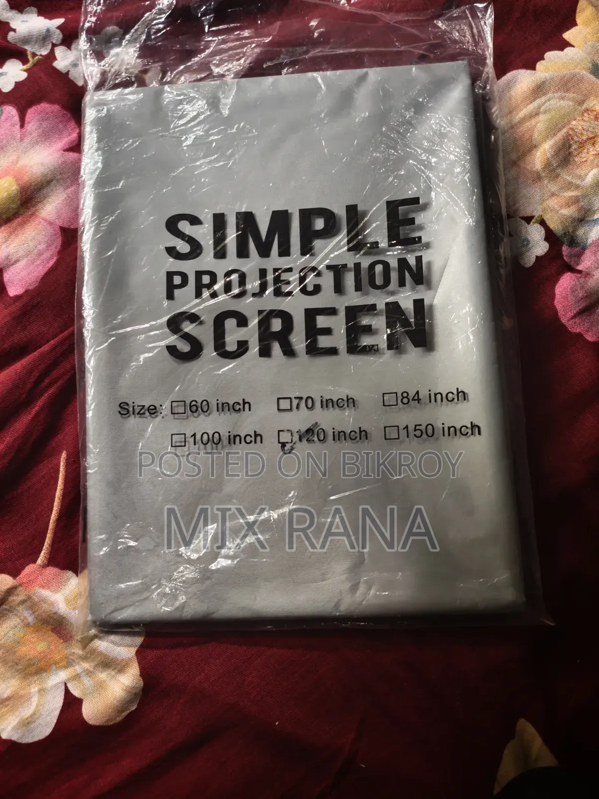 Projector Screen
