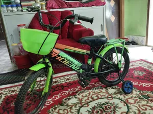 Phoenix Cycle 16" Kids' Bicycle