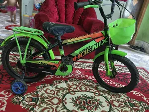 Phoenix Cycle 16" Kids' Bicycle