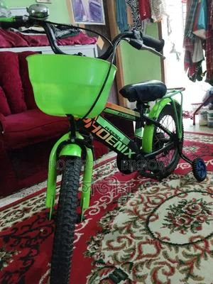Phoenix Cycle 16" Kids' Bicycle