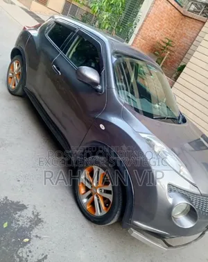 Nissan Juke 2011 Gray