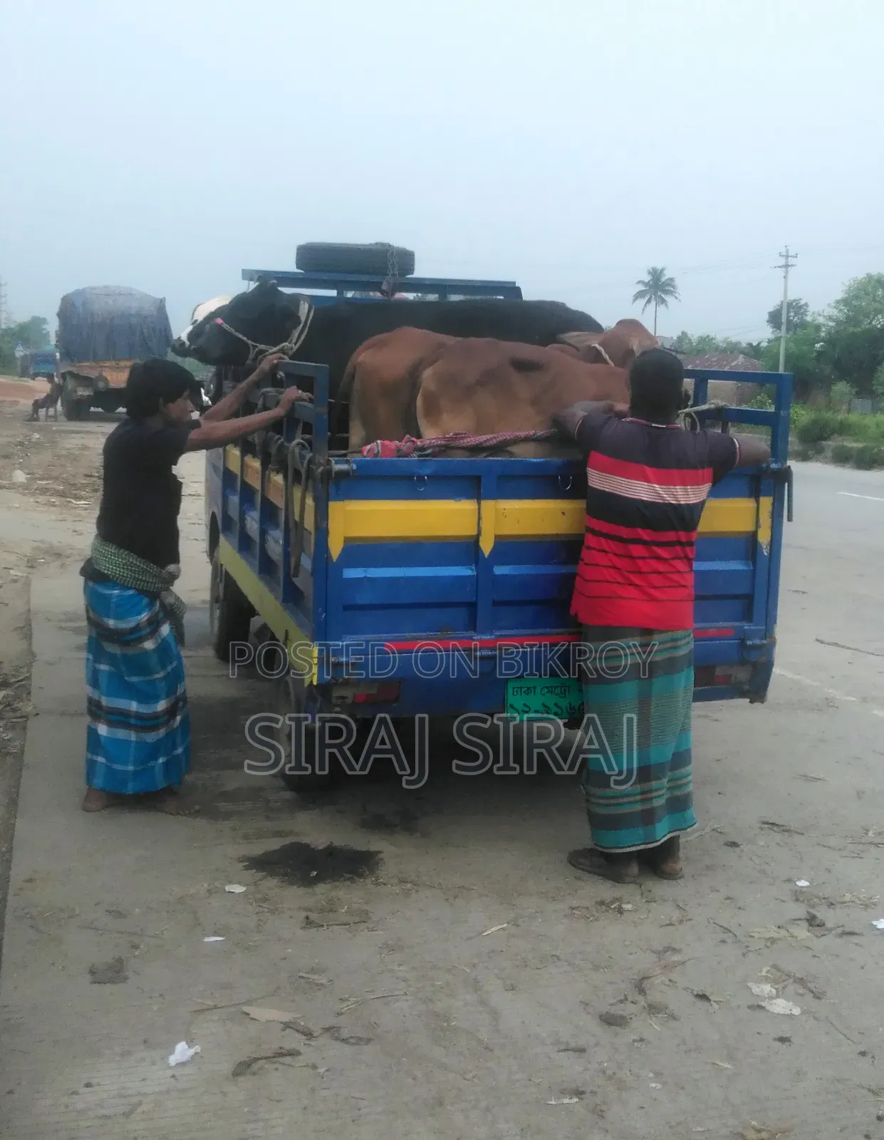 Truck Bikri