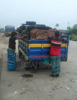 Truck Bikri