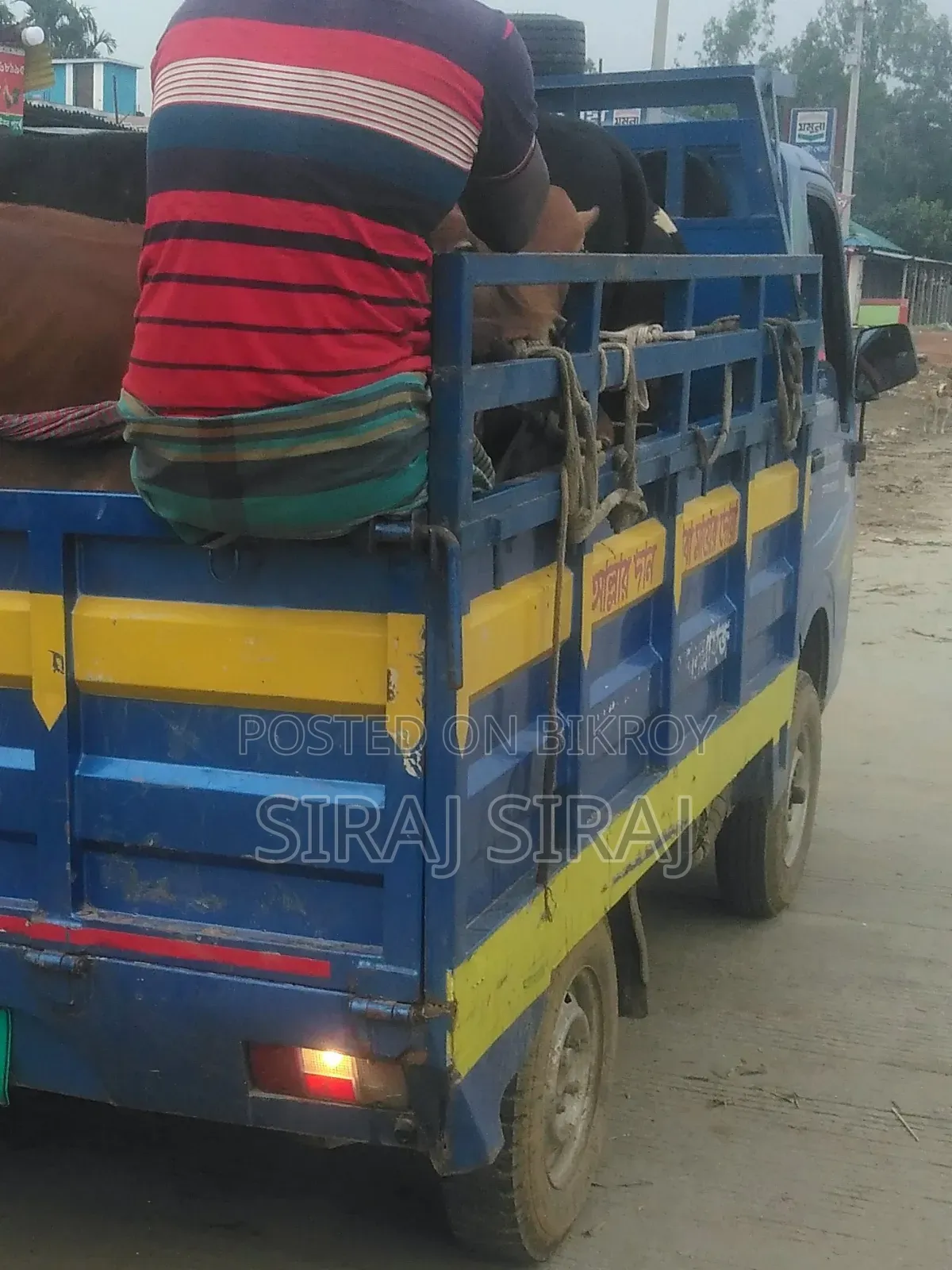 Truck Bikri