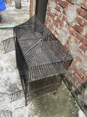 Chicken and Bird Cage