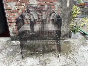 Chicken and Bird Cage