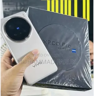 Vivo X200 Pro 256 GB Gray