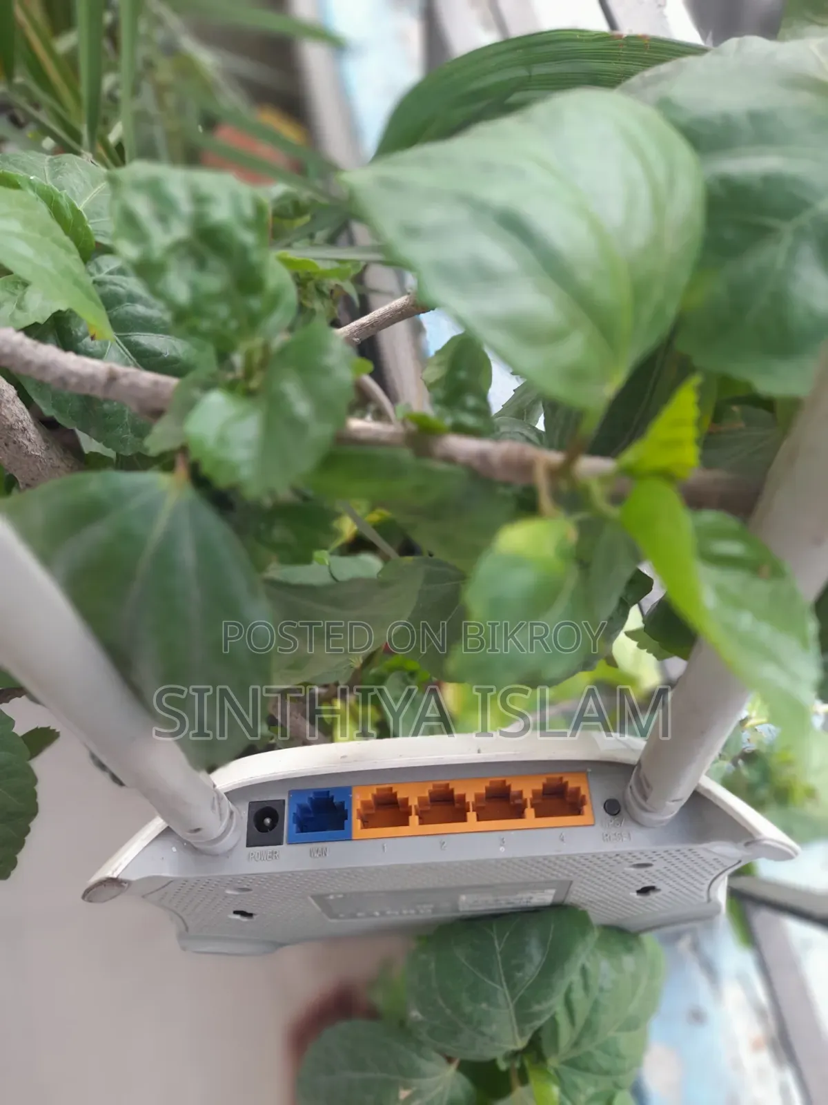 Tp Link Router