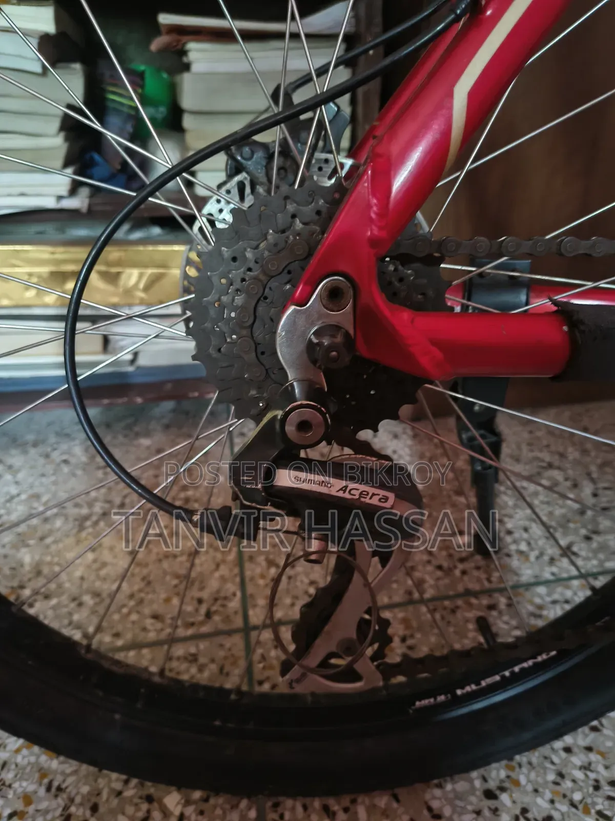 Mustang Cycle Beta