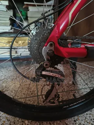 Mustang Cycle Beta