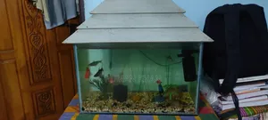 অ্যাকোয়ারিয়াম ১২/২৩