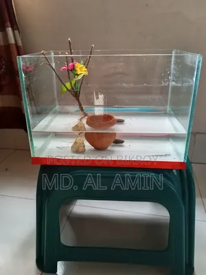 Aquarium for sale