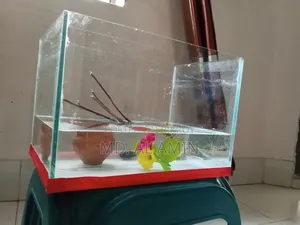 Aquarium for sale