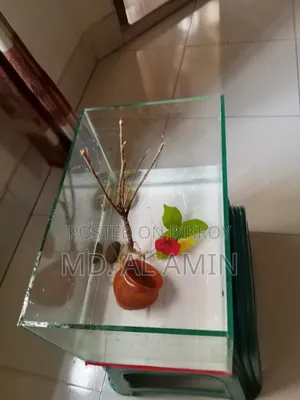 Aquarium for sale