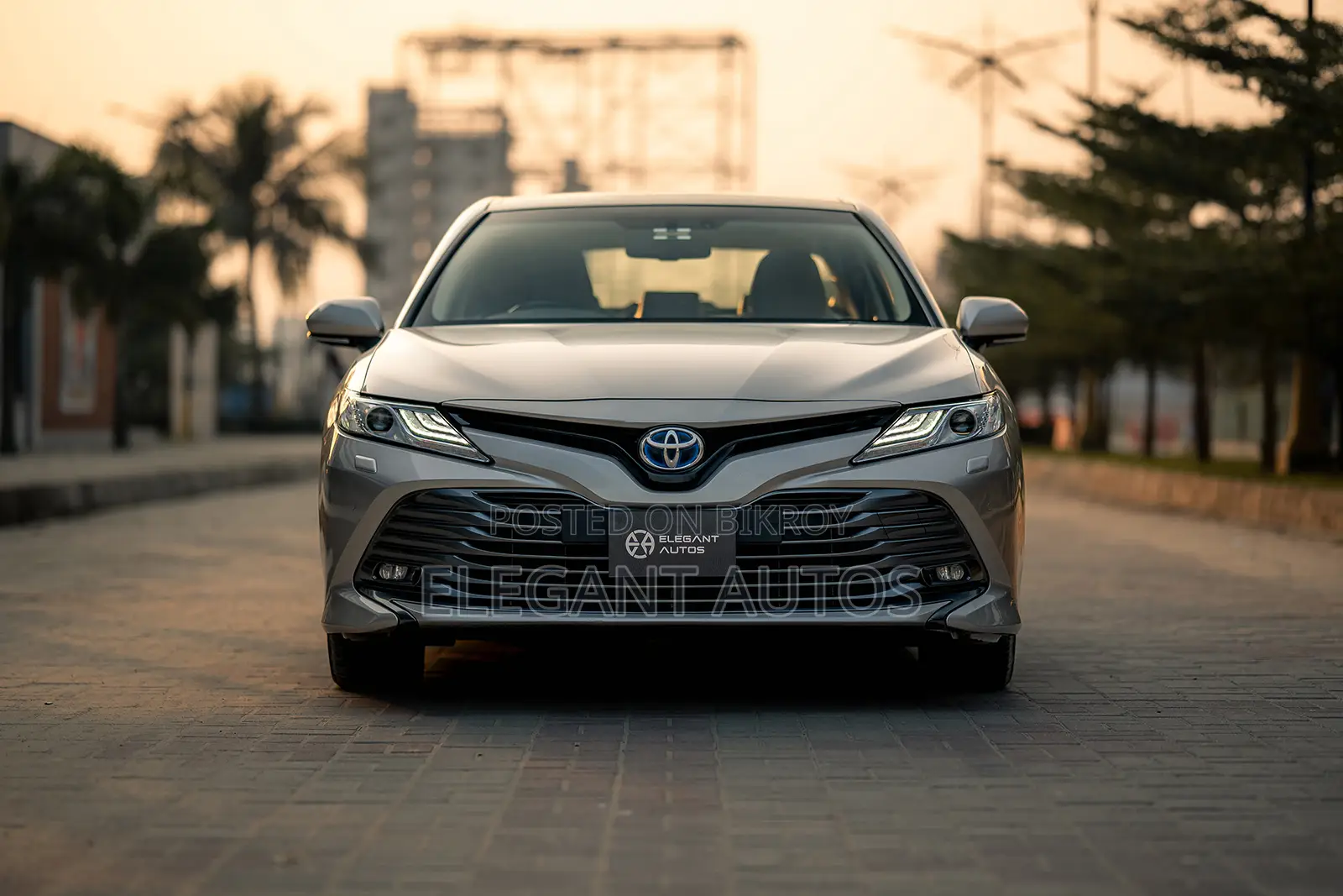 Toyota Camry XLE (2.5L 4cyl 8A) 2019 Beige