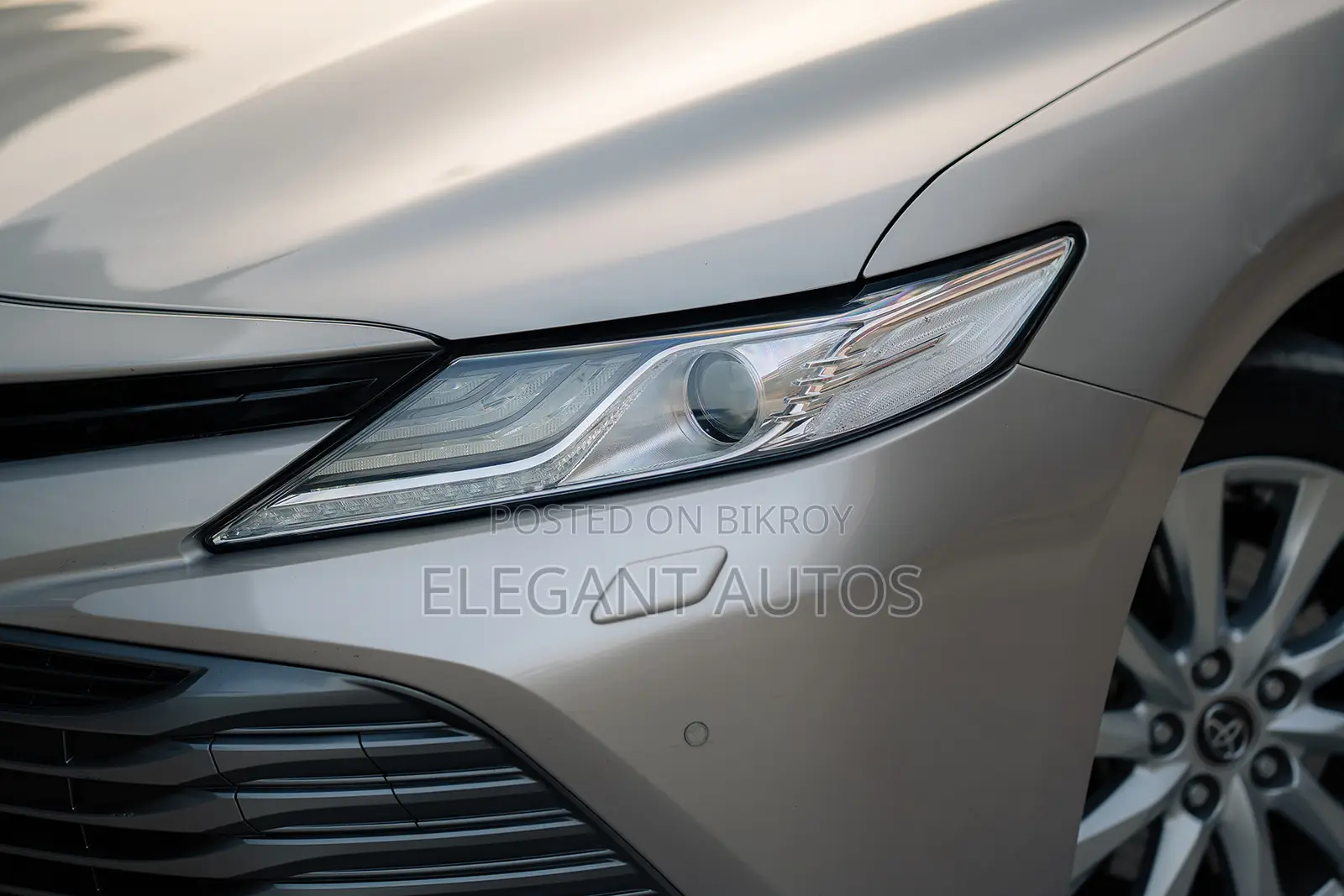Toyota Camry XLE (2.5L 4cyl 8A) 2019 Beige