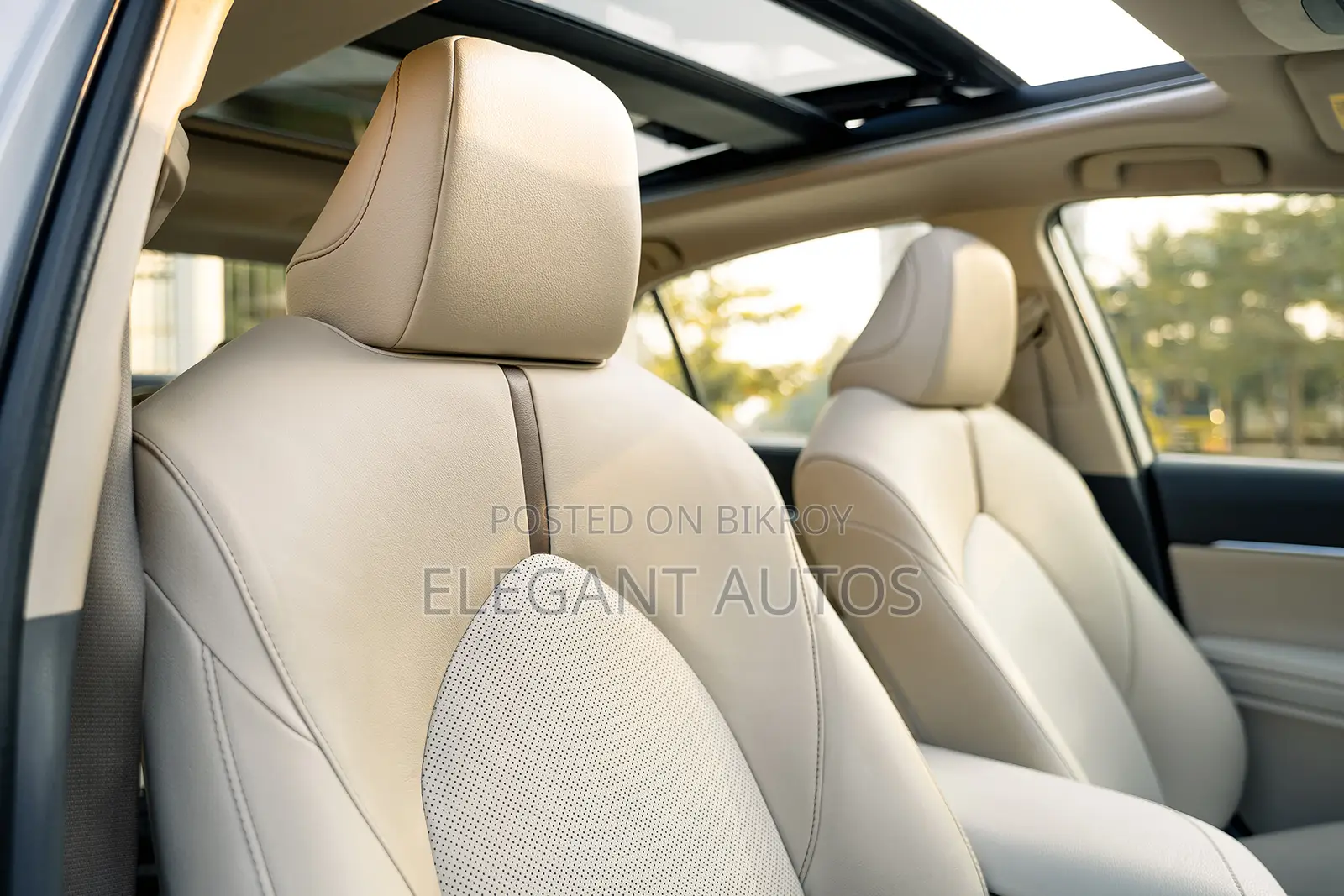 Toyota Camry XLE (2.5L 4cyl 8A) 2019 Beige