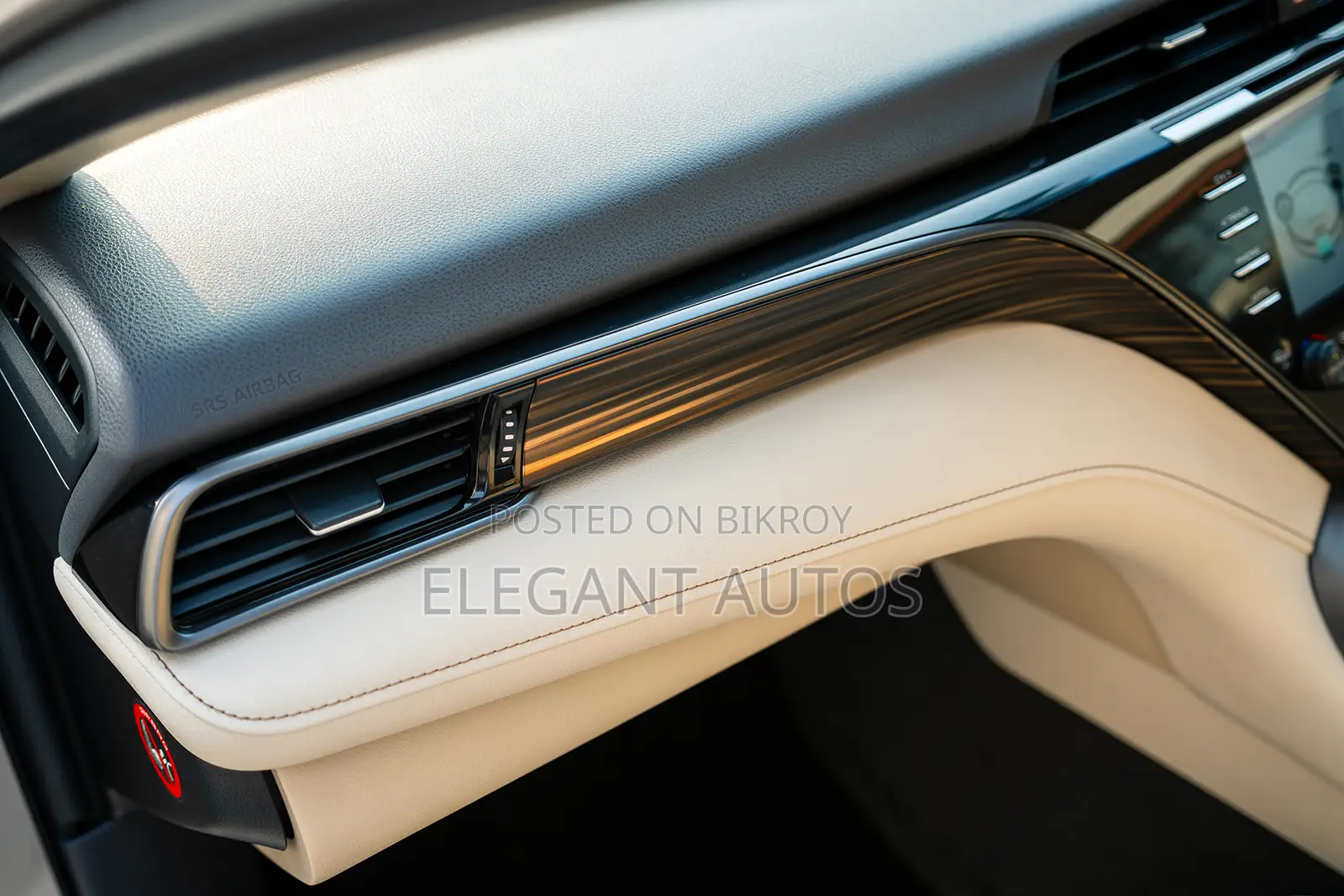 Toyota Camry XLE (2.5L 4cyl 8A) 2019 Beige