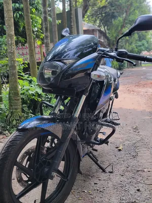 Bajaj Pulsar 150 2019 Black