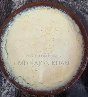মিষ্টি দ‌ই ও টক দই / Yogurt