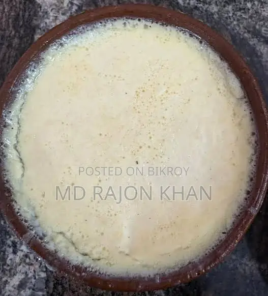 মিষ্টি দ‌ই ও টক দই / Yogurt