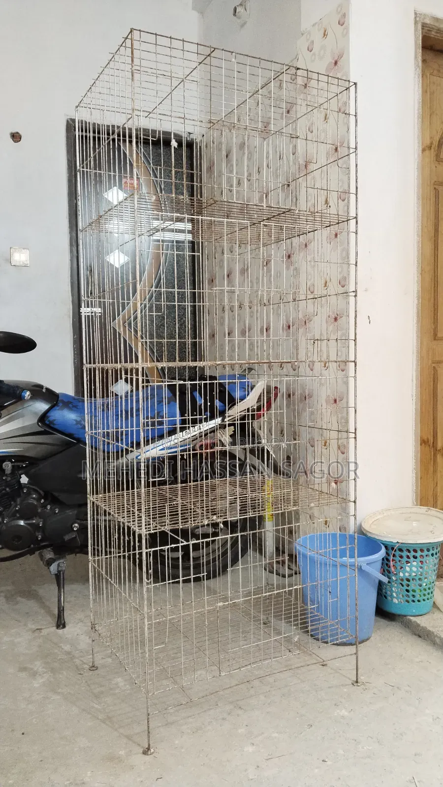 Pigeon Cage