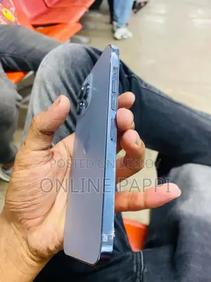 অ্যাপল আইফোন ১৩ প্রো ম্যাক্স ২৫৬ জিবি ব্লু