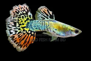 Top Quality Green Metal Cobra Guppy