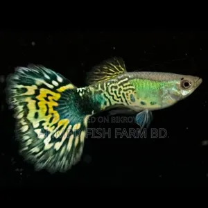 Top Quality Green Metal Cobra Guppy