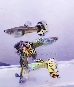 Top Quality Green Metal Cobra Guppy