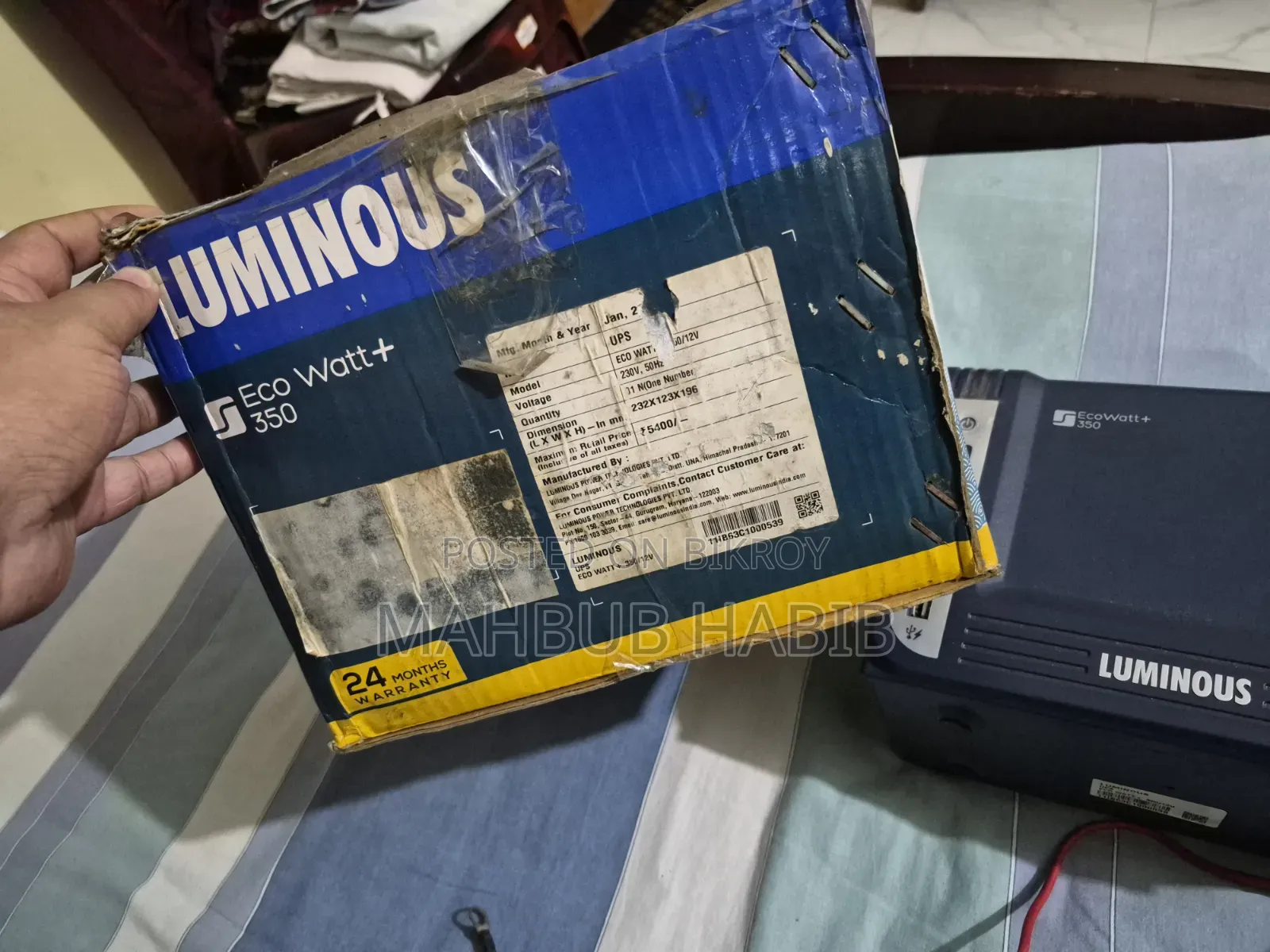 Luminous IPS