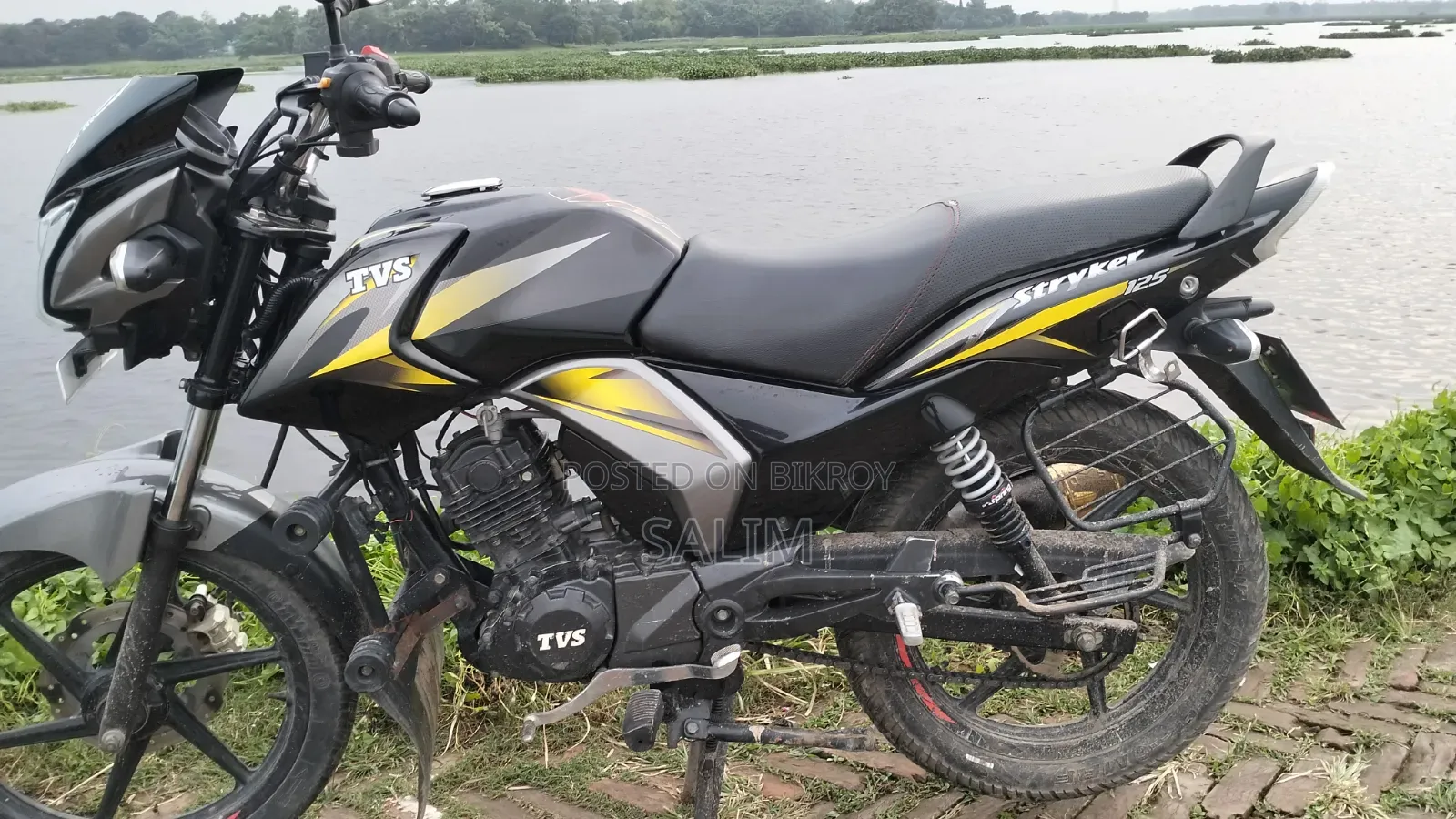 TVS Stryker 125 2023 Yellow