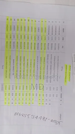 গোল্লা কবুতর বিক্রয় হইবে