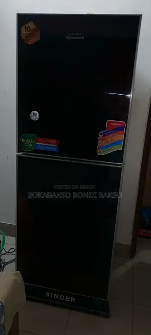 Singer Fridge